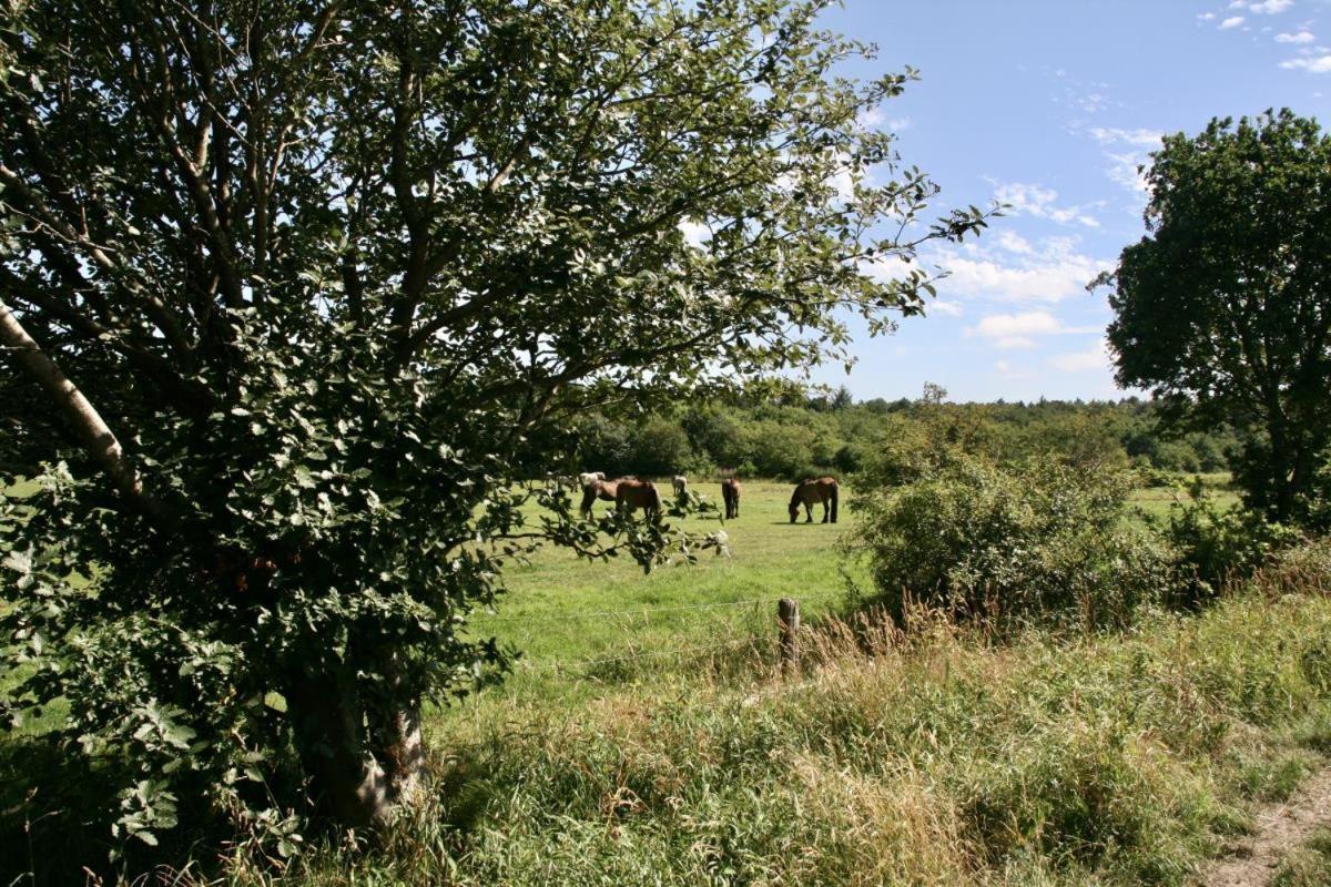Quartier Hohe Geest 14 *